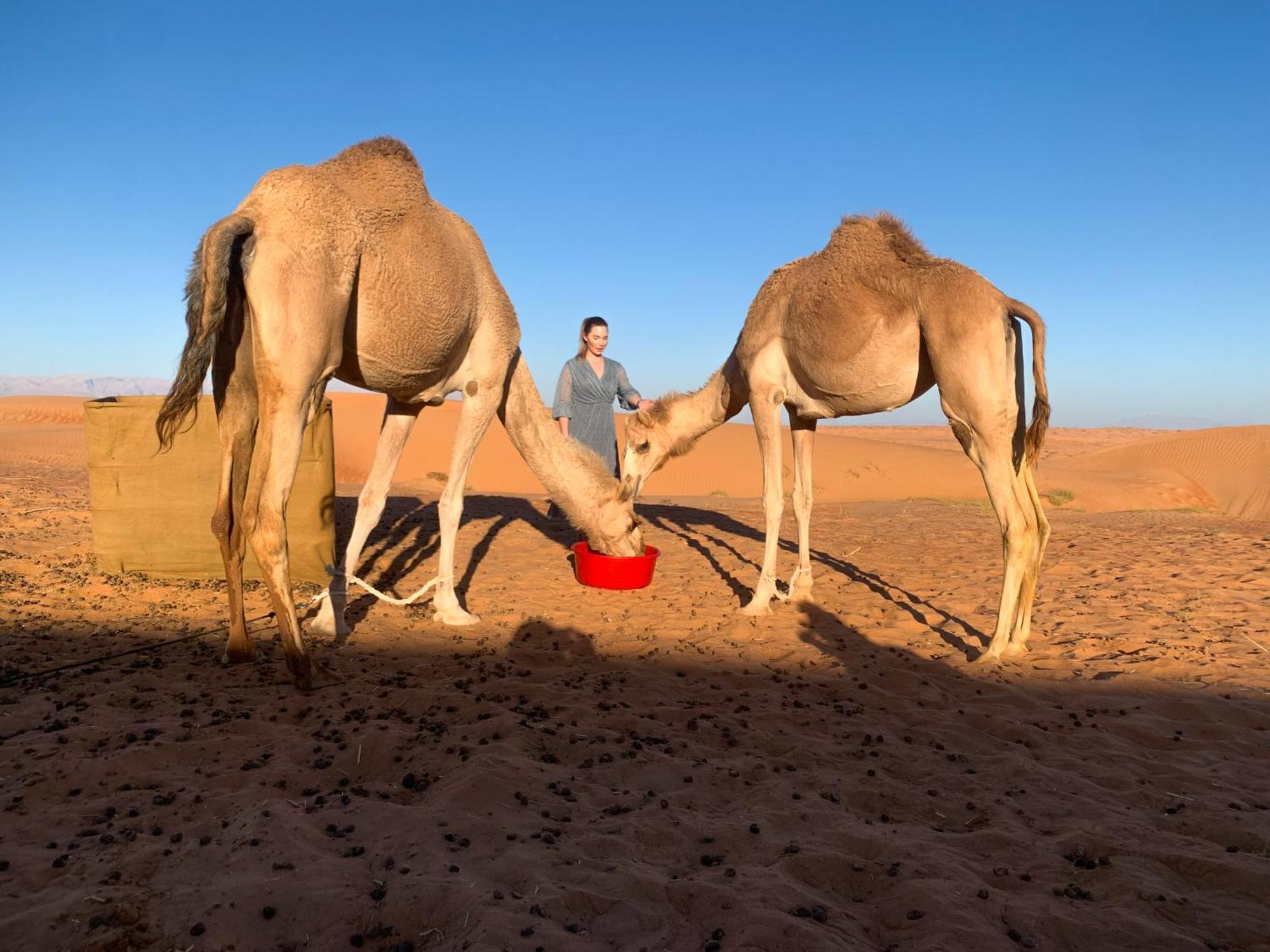 Wahiba Bedouiens Privae Camp Hotell Badīyah Exteriör bild